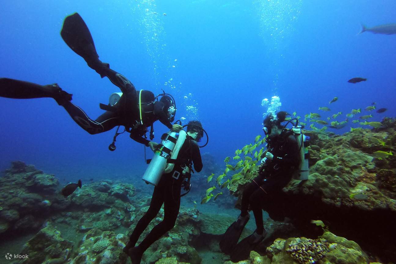Trainer und Teilnehmer beim Tauchen